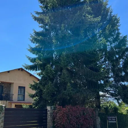 Twin Pines Camino Norte