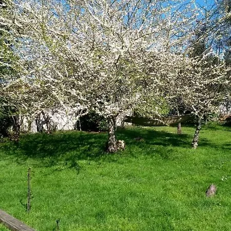 Kwatera prywatna Twin Pines Camino Norte Arzúa