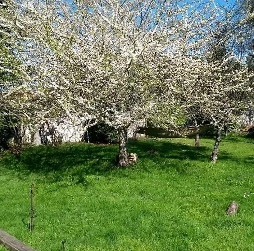 Privatunterkunft Twin Pines Camino Norte Arzúa